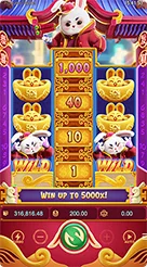 Fortune Rabbit · Panduan Membaca Antarmuka dan Simbol Slot Fortune Rabbit